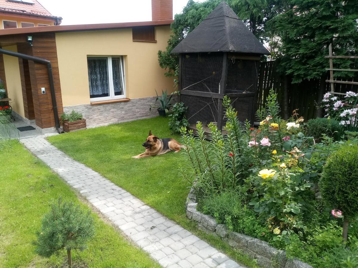 Agroturystyka U Agaty Checiny  Exterior photo